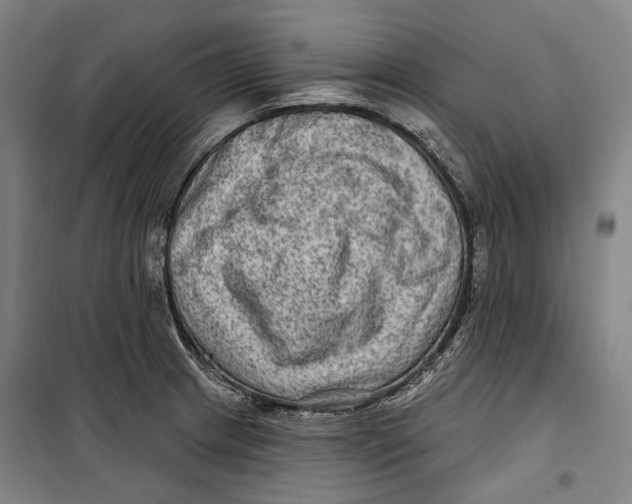 X0000099541233200806061447