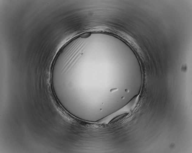 X0000099541234200806061447