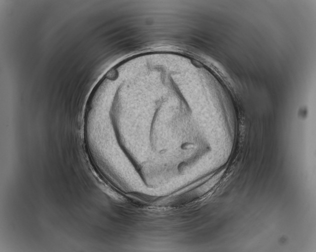 X0000099541236200806061447