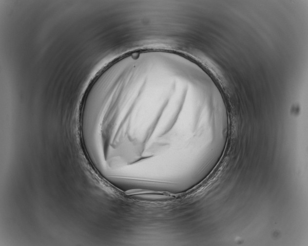 X0000099541240200806061447