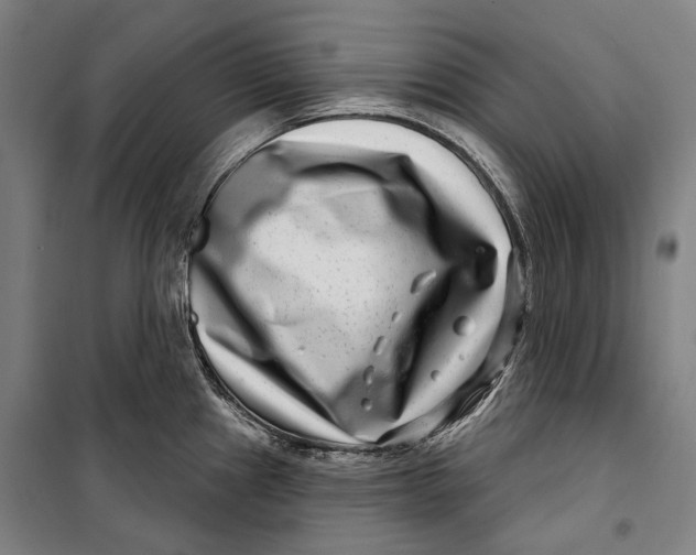 X0000099541241200806061447