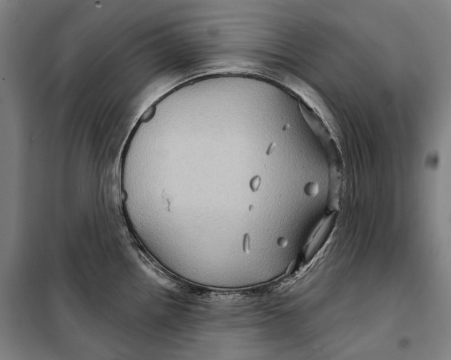 X0000099541242200806061447