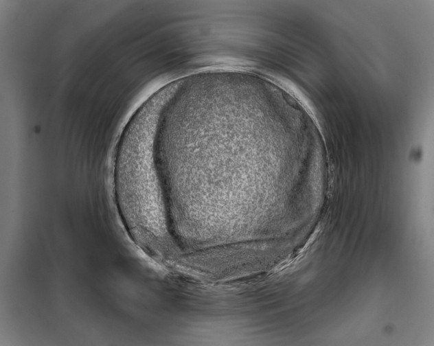 X0000099541243200806061447