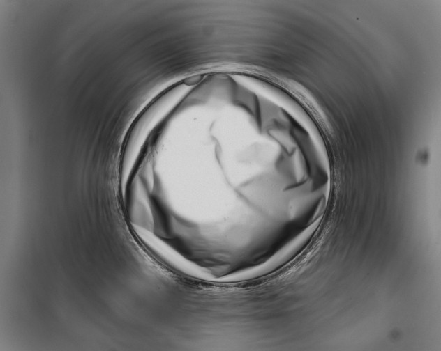 X0000099541244200806061447