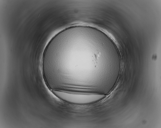 X0000099541247200806061447