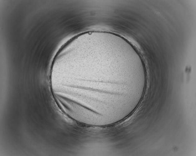 X0000099541248200806061447