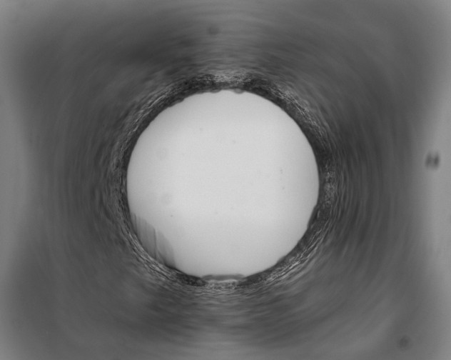 X0000099541249200806061447