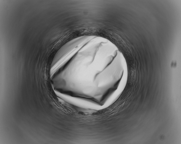 X0000099541250200806061447