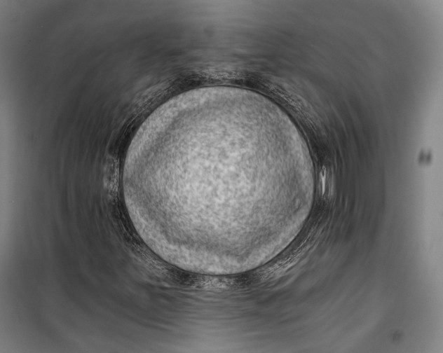 X0000099541251200806061447