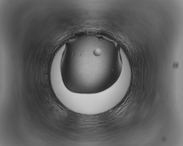 X0000099541252200806061447