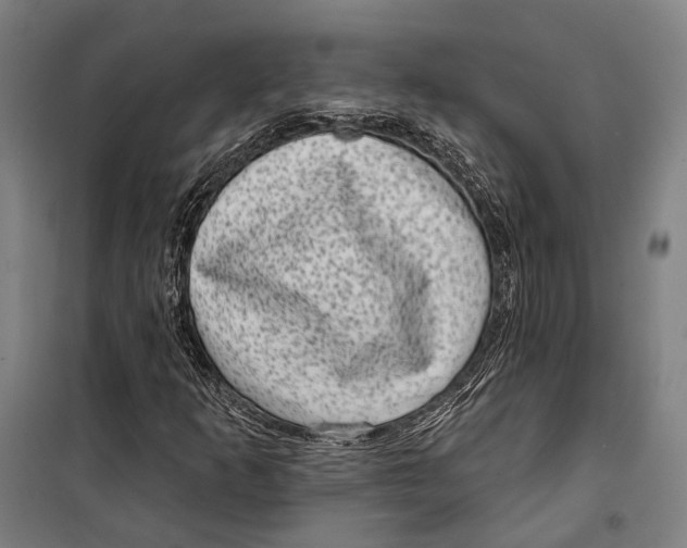 X0000099541253200806061447