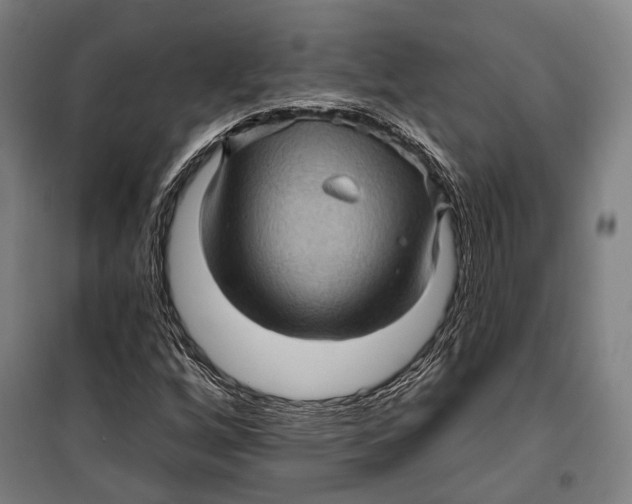 X0000099541256200806061447