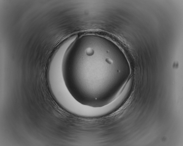 X0000099541257200806061447