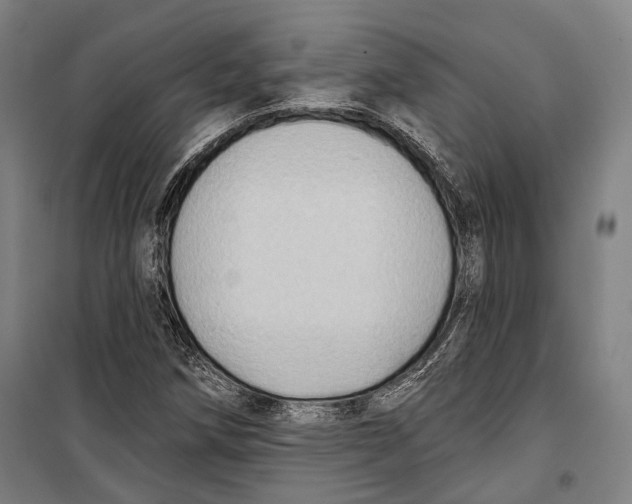 X0000099541258200806061447