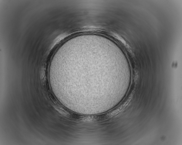 X0000099541259200806061447