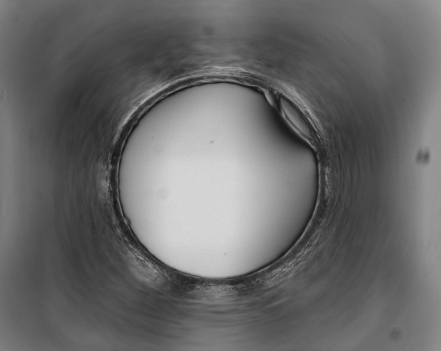 X0000099541260200806061447