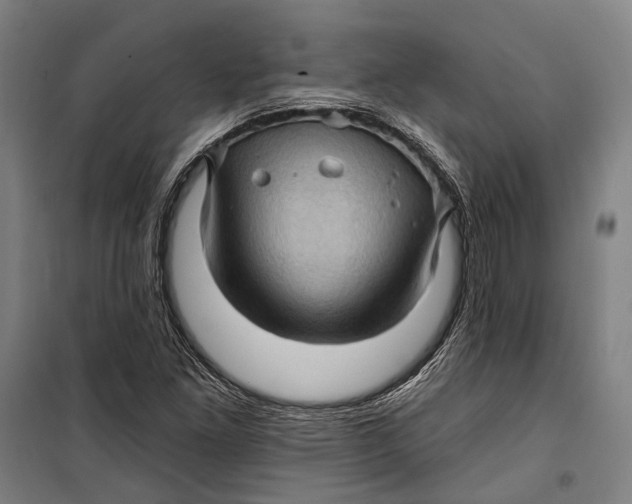 X0000099541261200806061446