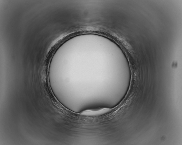 X0000099541262200806061446