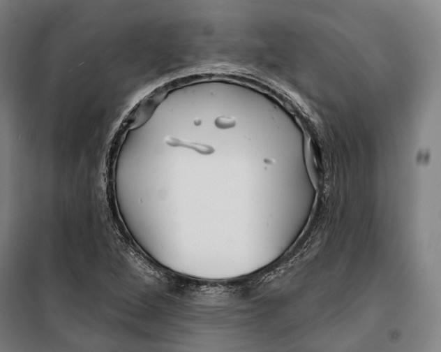 X0000099541264200806061446