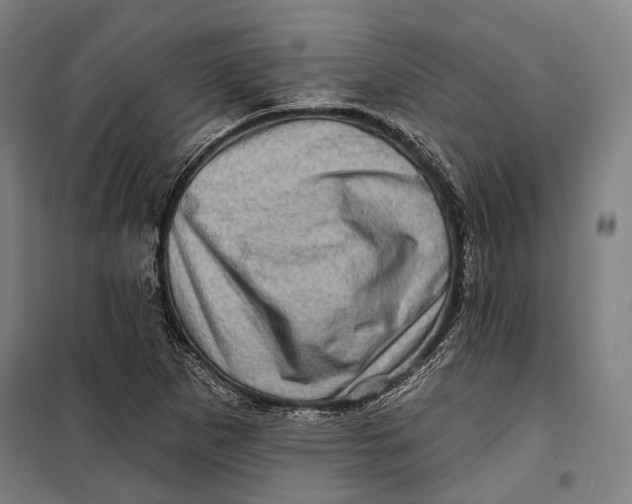 X0000099541265200806061446