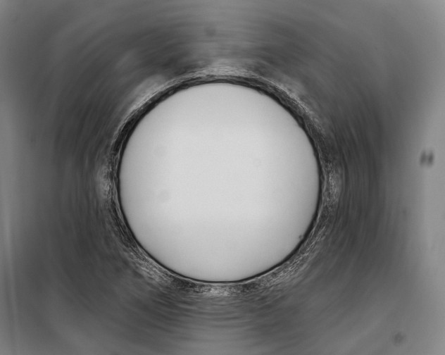 X0000099541266200806061446