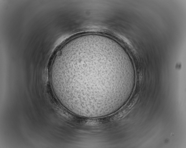 X0000099541267200806061446