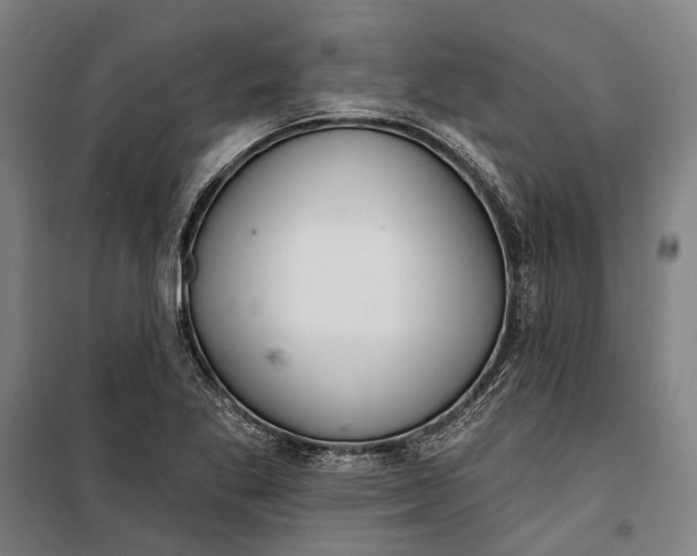 X0000099541269200806061446