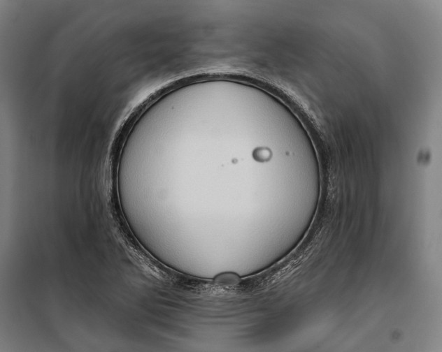 X0000099541270200806061446