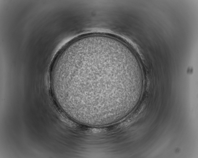 X0000099541271200806061446