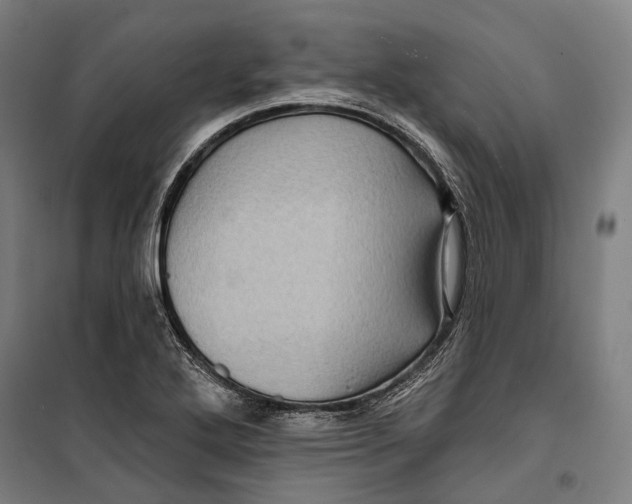 X0000099541272200806061446