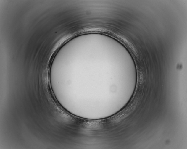 X0000099541274200806061446