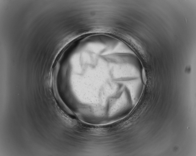 X0000099541276200806061446