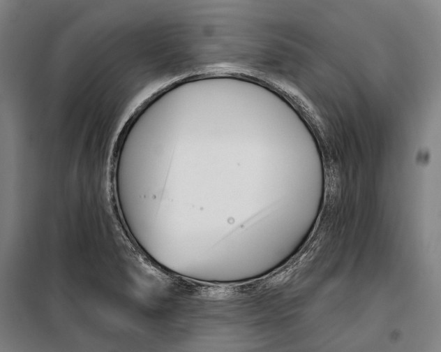 X0000099541278200806061446