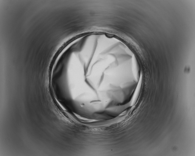 X0000099541280200806061446