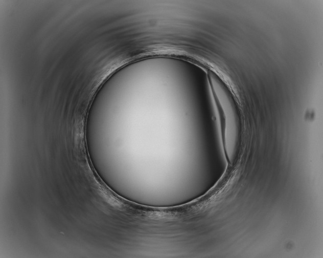 X0000099541281200806061446