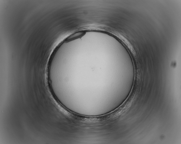 X0000099541285200806061446