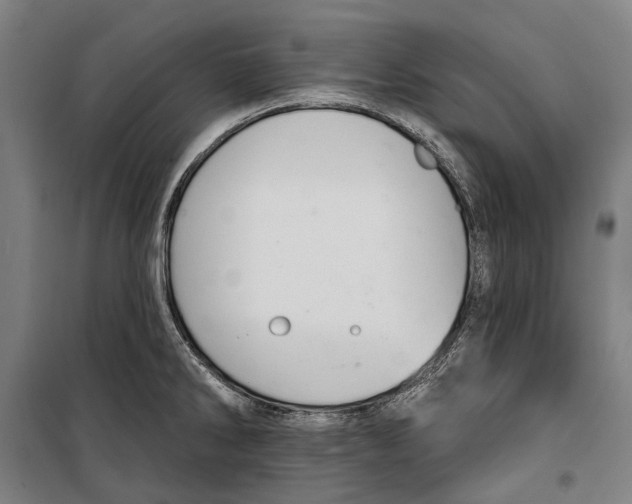 X0000099541286200806061446