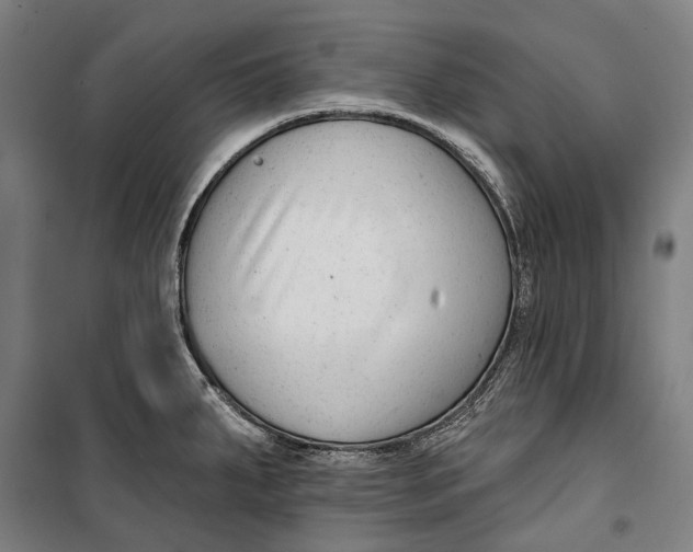 X0000099541287200806061446