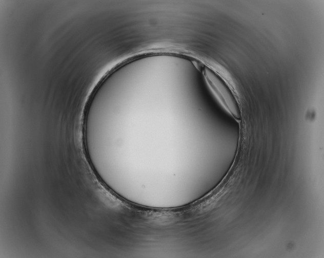 X0000099541288200806061446