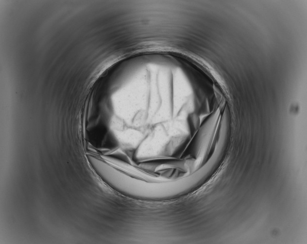 X0000099541289200806061446