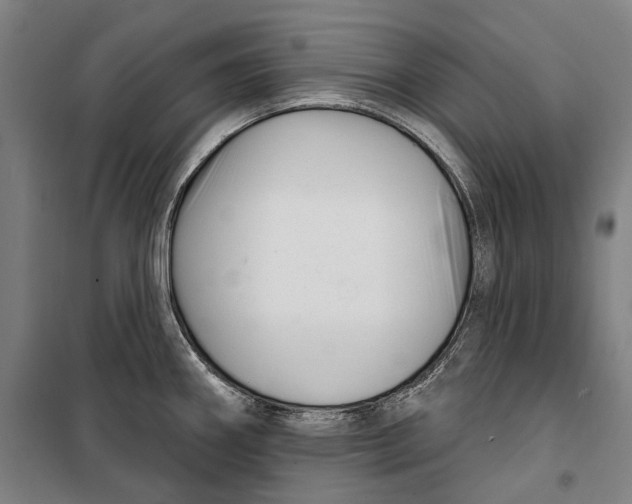 X0000099541290200806061446