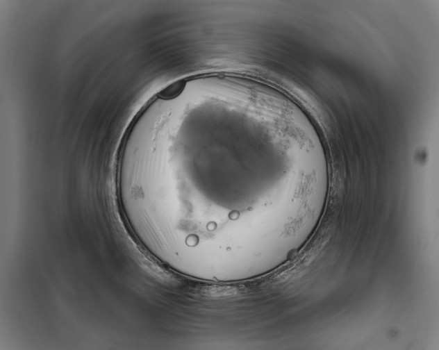 X0000099541291200806061446