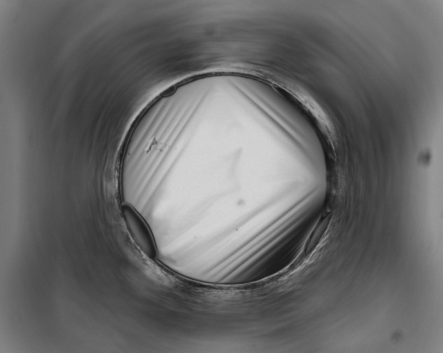 X0000099541292200806061446