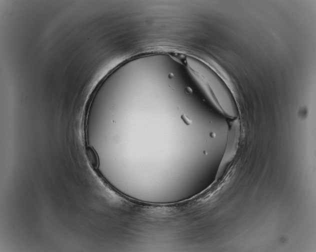 X0000099541293200806061446