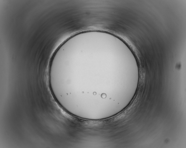 X0000099541294200806061446