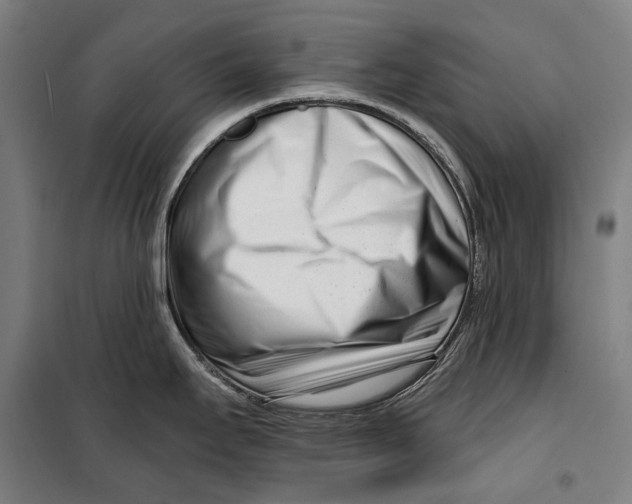 X0000099541295200806061446