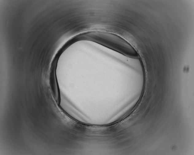 X0000099541296200806061446