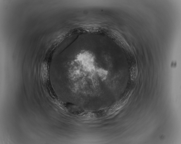 X0000099541298200806061445