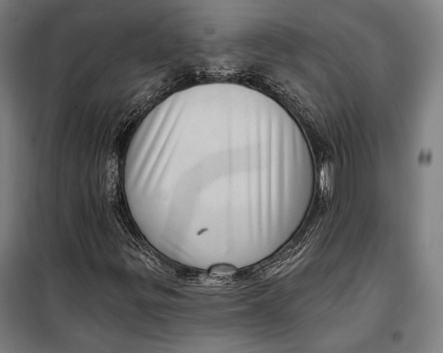 X0000099541299200806061445