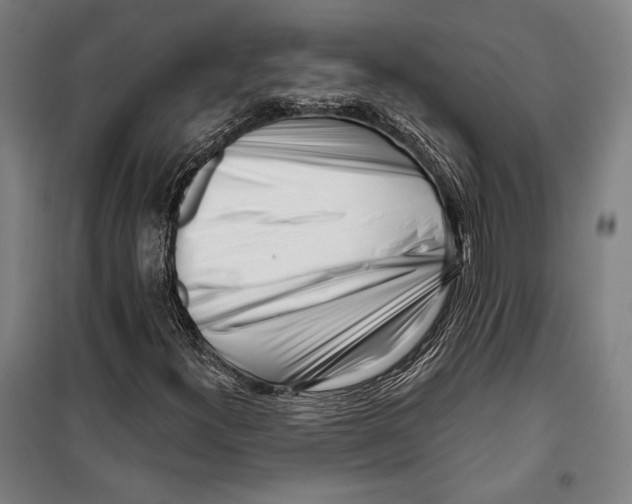 X0000099541300200806061445